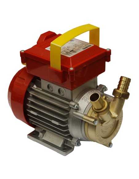 Electrobomba de bronce monofásica IP 55